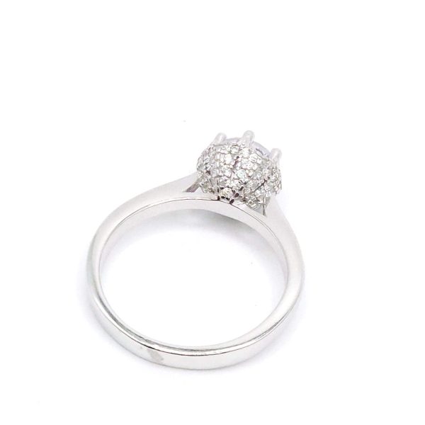 1-14491 3 1-14491 - Imagen 2