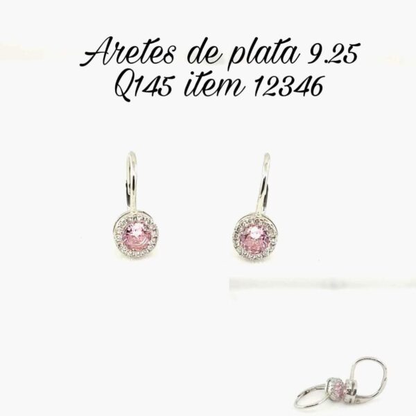 Rosa con Halo</br> 1-12346 2 Rosa con Halo</br> 1-12346
